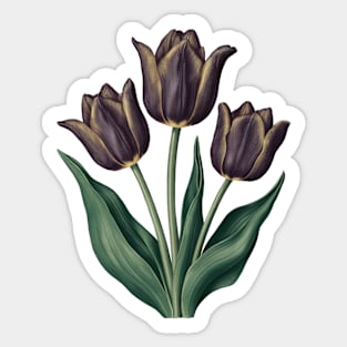 Cafe Noir Tulip, Vintage Botanical Sticker